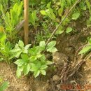 신형순농장 이미지