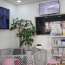 장수동물의료원 네이버블로그