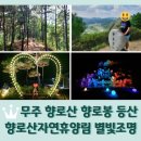 향로정 | 무주 향로산 등산 향로봉 정상석 / 향로산자연휴양림 인공폭포 / 야간 별빛조명