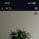 오흐니아뜰리에 | w.12 촬영부케 예약 | 오흐니아뜰리에, 영등포 그린화원