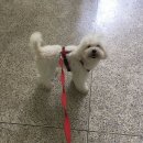 김순돌 이미지