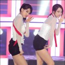레인보우독
