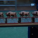 축구클럽(여성부) 이미지