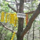 한강기맥 9회차 : 상창고개-금물산-시루봉-발귀현