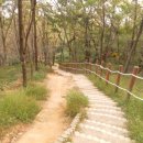 우성용봉 이미지