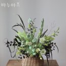 누아즈 이미지