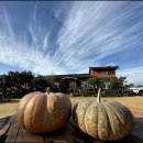 무명화가의 집 이미지