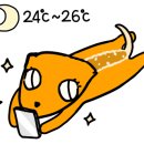 게코포레스트