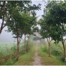 경안천 운학동 이미지