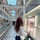 호미방 이미지