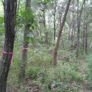 골짜기농장 이미지