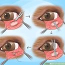 메디스동물병원 이미지
