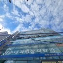 [임신준비2] 부산 서주내과영상의학과의원 나팔관조영술 후기 비용