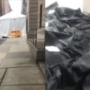 뉴욕동물병원 이미지