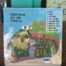 제주 동쪽여행 포토존 가득한 “안돌오름 비밀의숲”방문후기