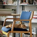 넷플레어 이미지