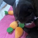 정아노래연습장 이미지