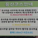 갈라산 티스토리