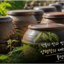 용문건어물 | 양평 5일장(양평장) 탐방 후기 | 정 가득한 시골 오일장, 먹거리와 볼거리 천국! 서울 근교 당일치기 최고