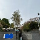 금남주유소 | 남양주 브런치 맛집 엠아르 북한강 뷰와 함께 수제버거 파스타 카페까지
