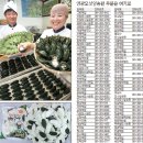 연중식품 이미지