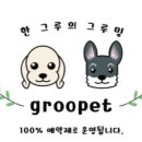 그루펫 이미지