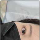 바이블리아이래쉬