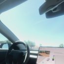 테슬라 자율주행 너무 좋네요! 이미지