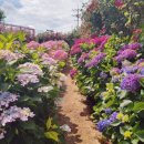 북촌 해동 이미지