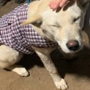 국수나무강동구청점 | 강동구청역 맛집