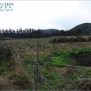 에이스목장 이미지