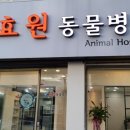 수원펫 동물병원 이미지