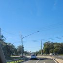 이승농장 | 5월의 시드니 여행 6일차 : 포트스테판 투어, 돌고래 크루즈, 샌드보딩, 오크베일 동물원