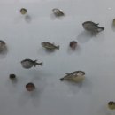 삼영복집 이미지
