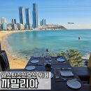부산 오션뷰 호텔뷔페 웨스틴조선부산 까밀리아 주말 런치 1부 식사 후기