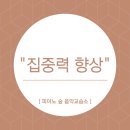 피아노숲음악교습소 이미지