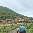 꽃과차가있는샘터 | 제주 한라산 윗세오름 어리목 영실 등산코스 남벽분기점 철쭉 만개 6월 후기