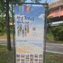 자연친화코스1 | 🌅 서울 한강 아침 산책 코스 추천 | 매일 7시 운동 루틴 후기
