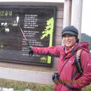 금강의하루민박 이미지