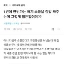 애기김밥 이미지