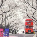 별빛푸드 이미지