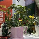 해냄메디칼 이미지