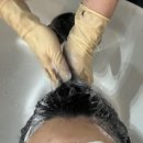 블루블랙 | 광주 광천동 유스퀘어 미용실 에쿰헤어 블루블랙 후기(미호디자이너)