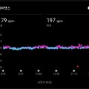 안중-042V | [D-6] 아산 이순신 마라톤 10km 준비, 대회전 평택항 러닝코스에서 3km 러닝 (심박수·페이스 변화)