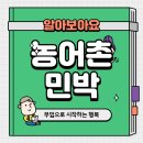 현진민박 이미지