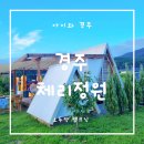 경주 체리 | 경주 피크닉장소 경주체리정원 이용후기