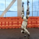 공중제비 이미지