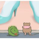 개구리집 이미지