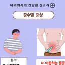 맹장염 초기증상 원인 여자 남자 차이가 있을까? 이미지