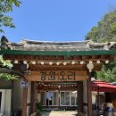돈대감 솔잎황토구이 | 대구 팔공산 맛집 여름 보양식 추천 오리백숙 강원오리